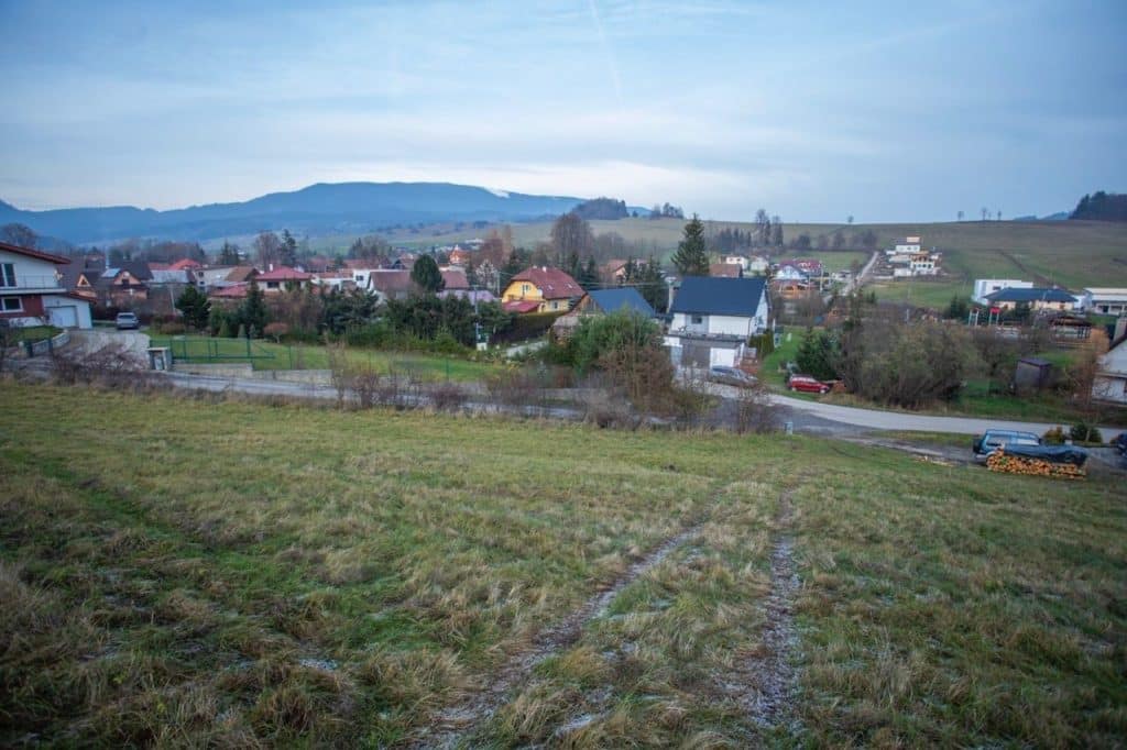 2618397_9.jpg