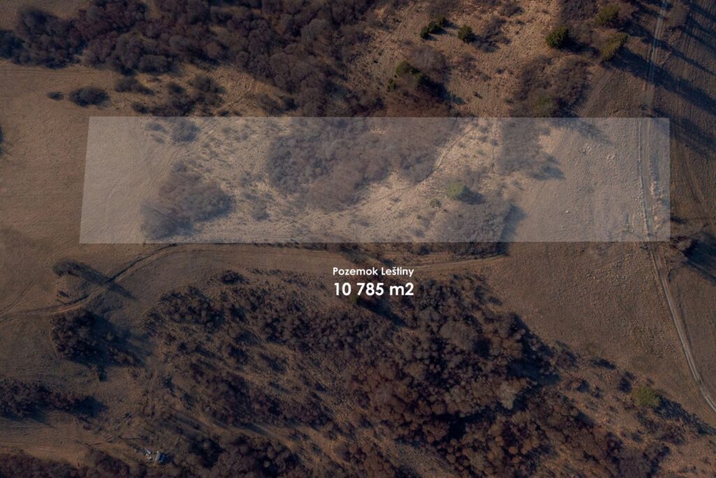 3376438_1