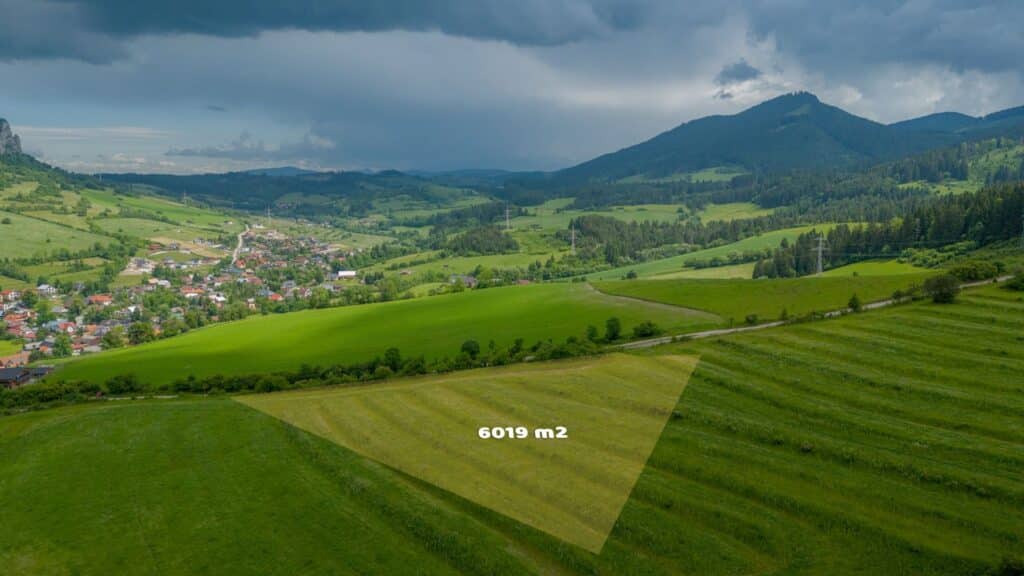 nNA0vSAXUt_fss